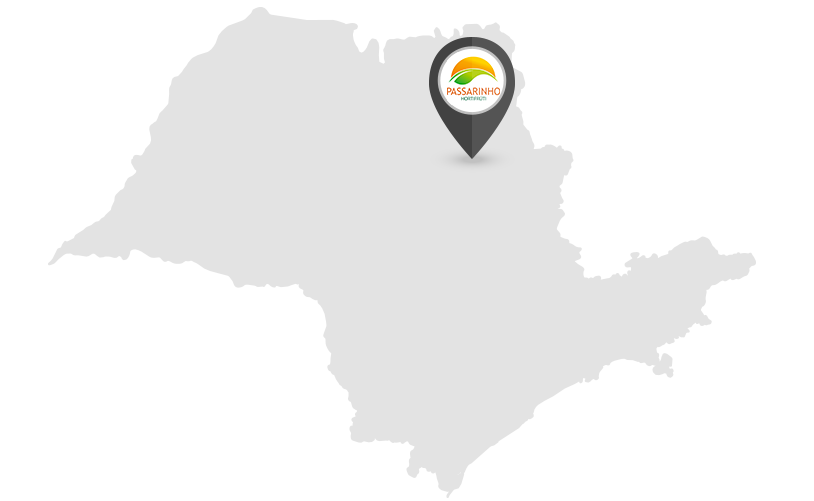 map-passa-saocarlos